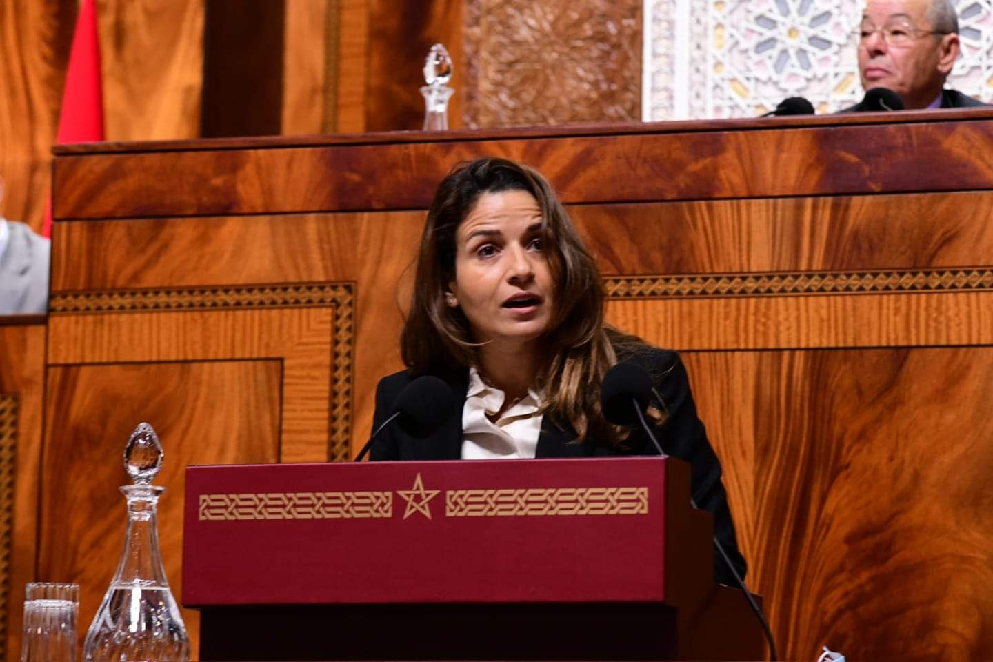 المجموعة تطالب بمناقشة رأي "المنافسة" حول المحروقات بحضور وزيرة الانتقال الطاقي